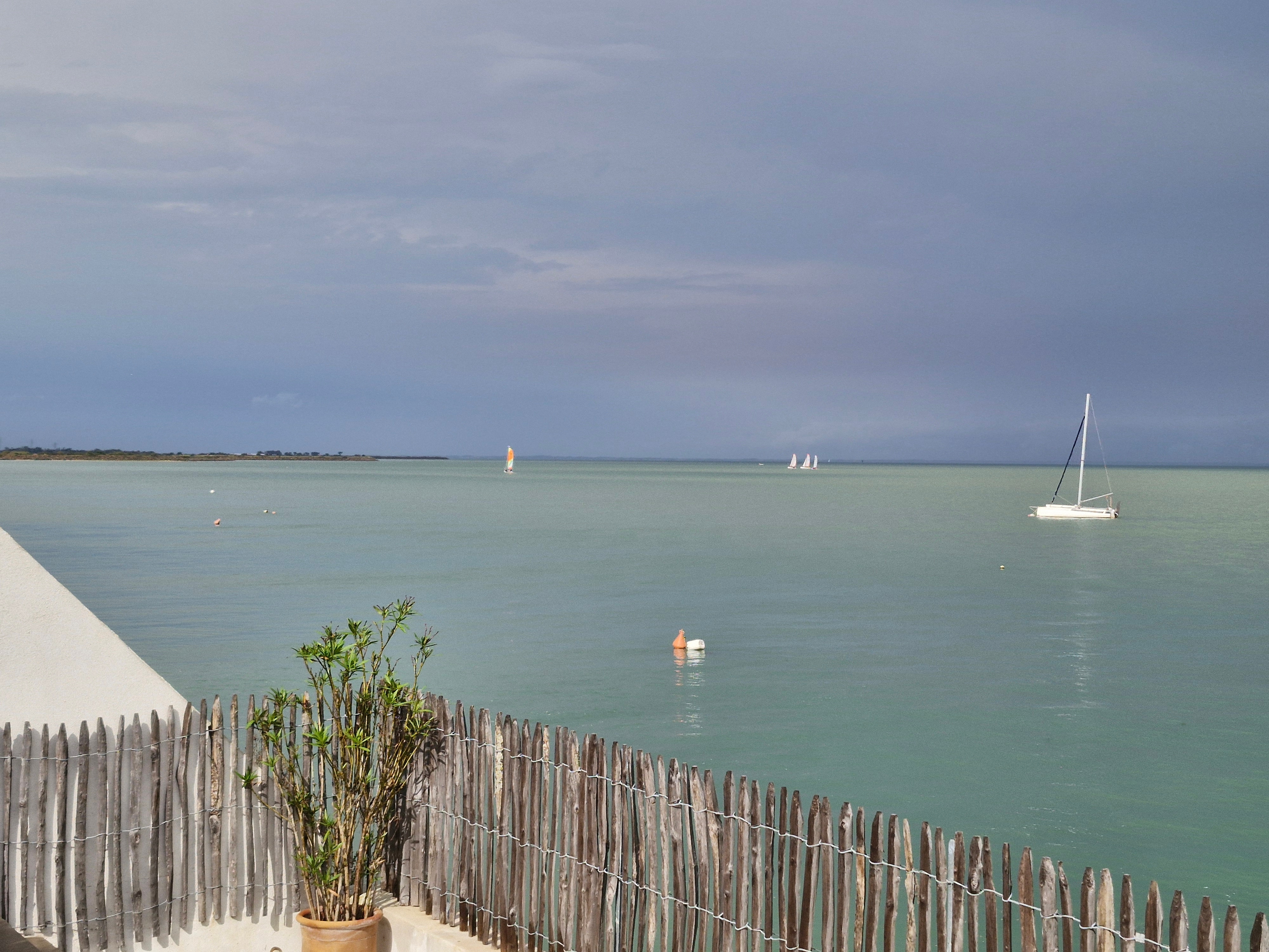 Balade dans les Pins